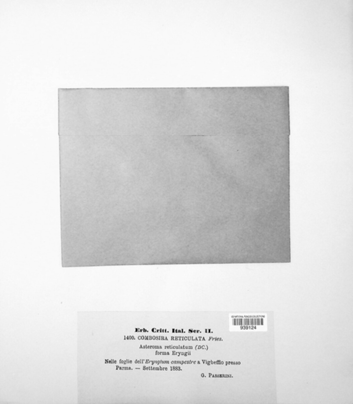 Guignardia reticulata image